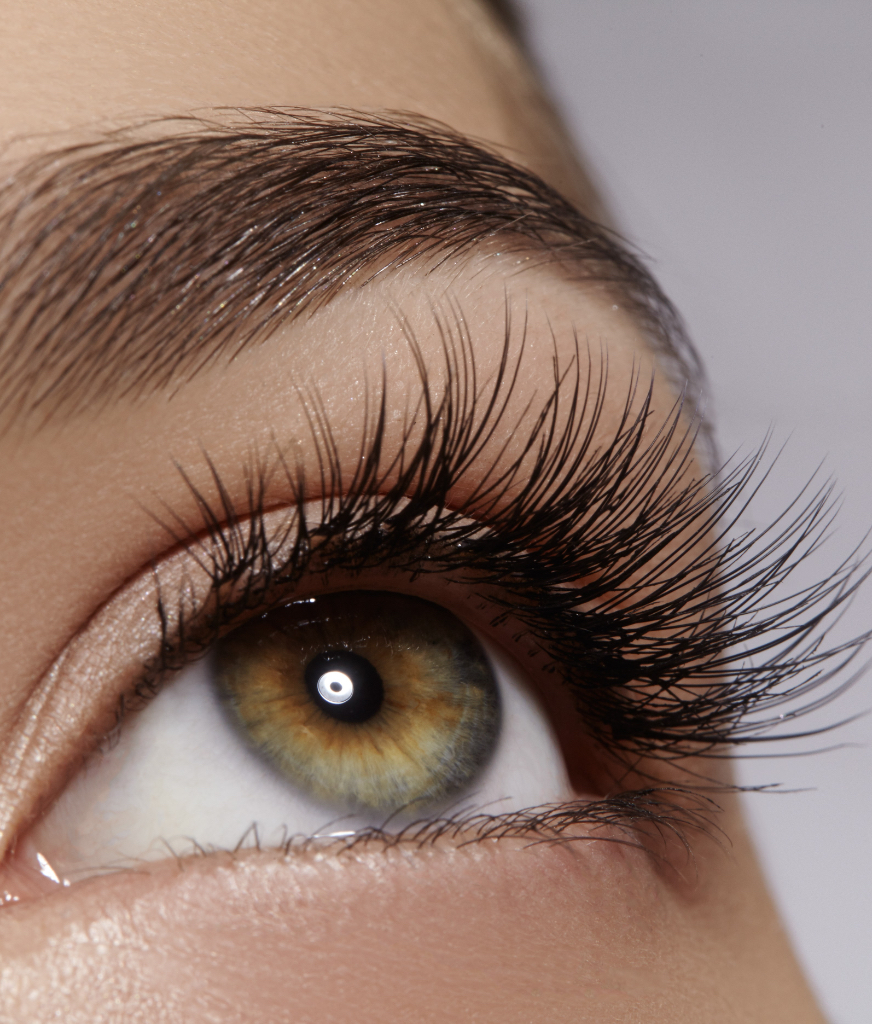 Close-up on a woman's brow and lashes